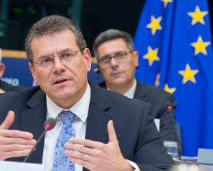 The New EU Green Policy Chief Emphasises Commitment and Collaboration The New EU Green Policy Chief Emphasises Commitment and Collaboration