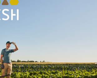 Cultivating Sustainability: Advancing Efficient Agri-Food Value Chains Cultivating Sustainability: Advancing Efficient Agri-Food Value Chains