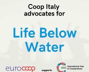 On World Environment Day, Coop Italy Celebrates the Success of Its “Foresta Blu” Campaign On World Environment Day, Coop Italy Celebrates the Success of Its “Foresta Blu” Campaign