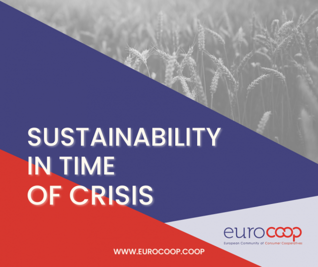 Sustainability in Time of Crisis Sustainability in Time of Crisis