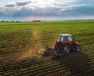 EU Auditors Urge Increased Commitment to Achieve Organic Farming Targets EU Auditors Urge Increased Commitment to Achieve Organic Farming Targets