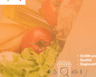 Easy Coop, Shop for Your Groceries in the Comfort of Your Own Home Easy Coop, Shop for Your Groceries in the Comfort of Your Own Home