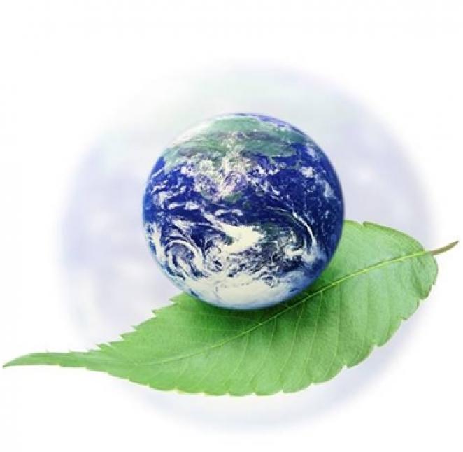 Report 2012 - Climate change and consumer co-operatives Report 2012 - Climate change and consumer co-operatives