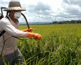 Coop Denmark & EU retail giants pressure EU Commission to ban hormone disrupting chemicals Coop Denmark & EU retail giants pressure EU Commission to ban hormone disrupting chemicals