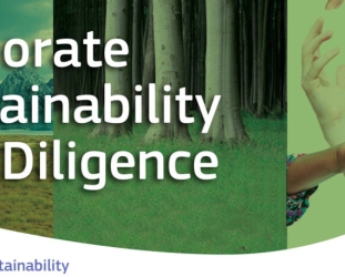 The Council and the EU Parliament Reached a Provisional Deal With the Corporate Sustainability Due Diligence Directive