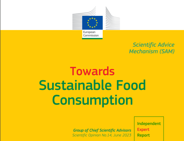 The EU SAM Released Policy Recommendations on Sustainable Food Consumption.