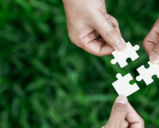 New Report: Benchmarking the Socio-economic Performance of the EU Social Economy