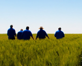 CAP and the Dess report - open letter to MEPs, June 2011