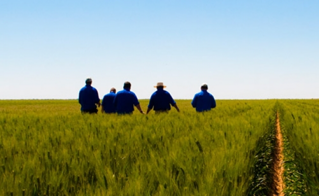 CAP and the Dess report - open letter to MEPs, June 2011