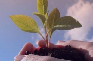 European consumer co-operatives renew commitment to combat climate change