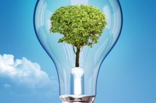 Local authorities and cooperatives are key to citizen energy transition