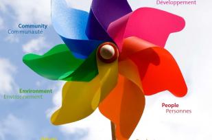 Preliminary Report on Consumer Cooperatives’ Propositions for the International Year 2012