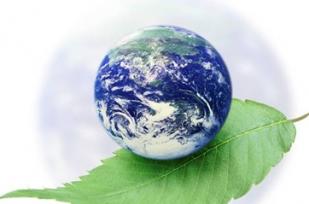 Report 2012 - Climate change and consumer co-operatives