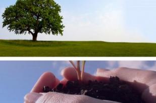 Euro Coop Response to the EC Consultation on a Roadmap for a Resource Efficient Europe