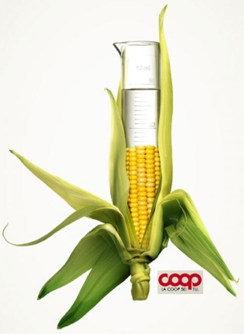 NGOs and food operators write to Commissioner Borg for the respect of the zero tolerance principle in GM food